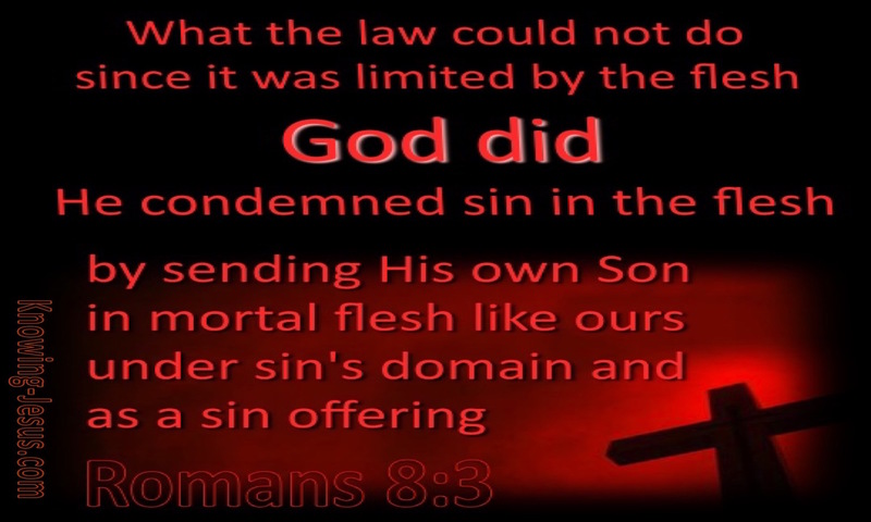 Romans 8:3 He Comdemned Sin In The Flesh (maroon)